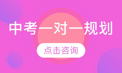 中考一对一规划