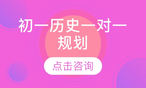 初一历史一对一规划