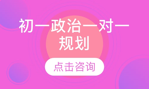 初一政治一对一规划