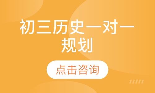 初三历史一对一规划