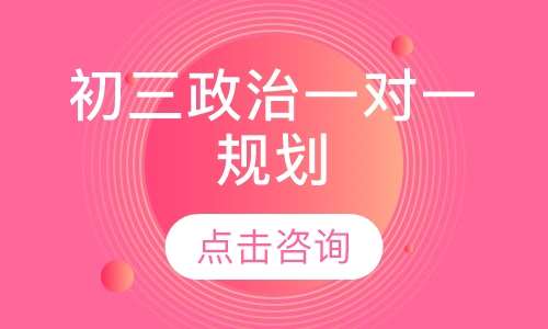 初三政治一对一规划