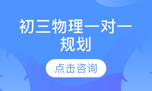 初三物理一对一规划