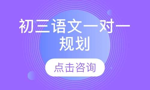 初三语文一对一规划