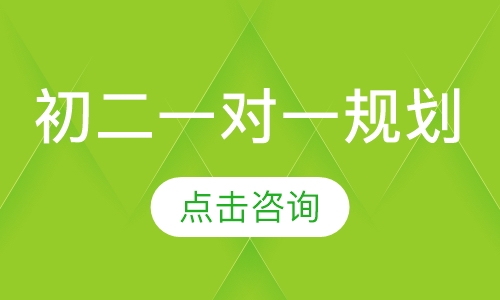 初二一对一规划
