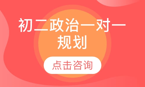 初二政治一对一规划