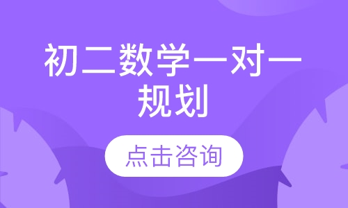初二数学一对一规划