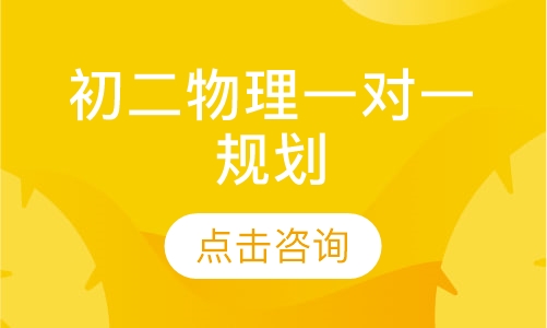 初二物理一对一规划