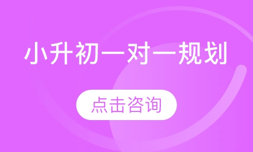 小升初一对一规划