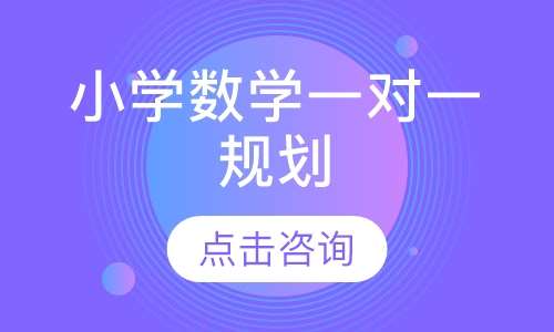 小学数学一对一规划