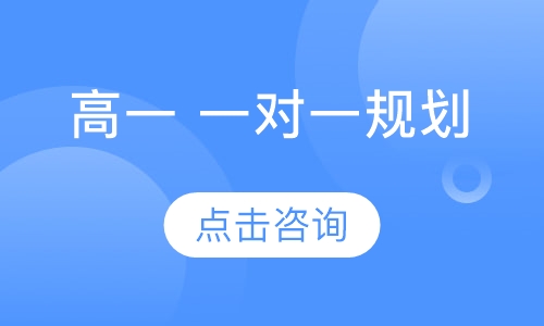 高一 一对一规划