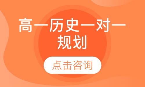高一历史一对一规划