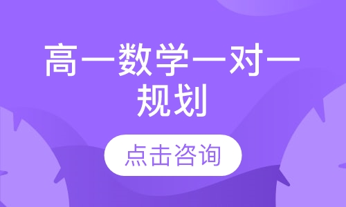 高一数学一对一规划