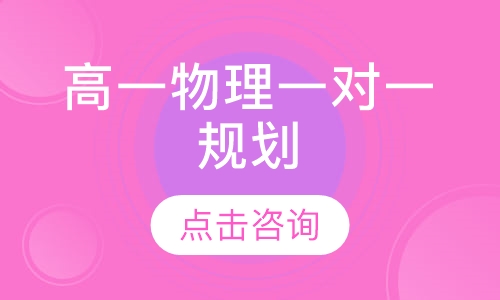 高一物理一对一规划