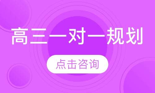 高三一对一规划