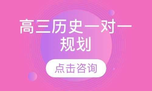 高三历史一对一规划