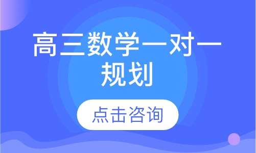 高三数学一对一规划