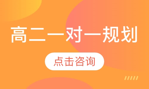 高二一对一规划