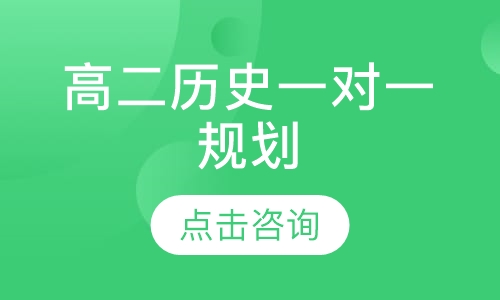高二历史一对一规划