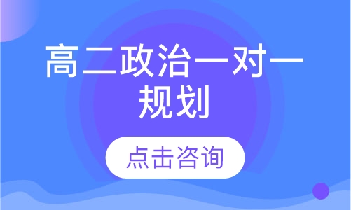 高二政治一对一规划