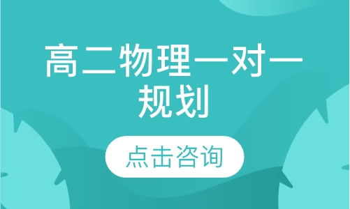高二物理一对一规划