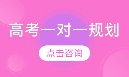 高考一对一规划